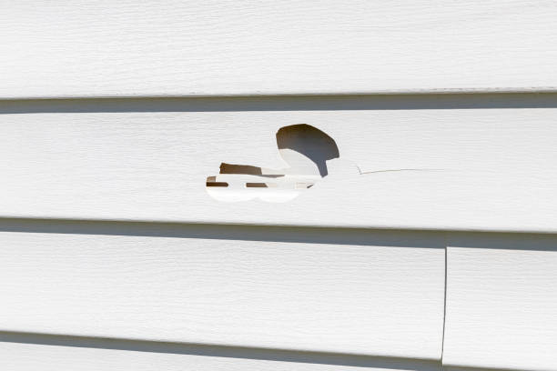 Best Hoarding Cleanup  in Webster Groves, MO