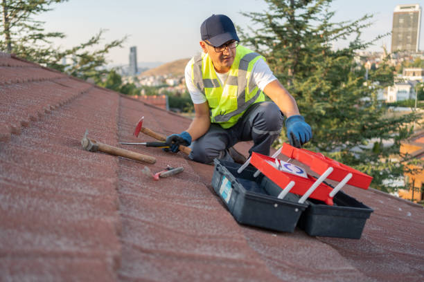Best Carpet Removal and Disposal  in Webster Groves, MO